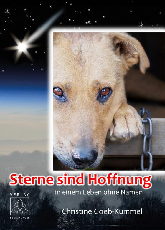 Cover-Bild Sterne sind Hoffnung