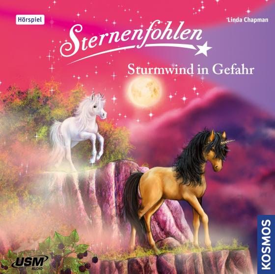 Cover-Bild Sternenfohlen (Folge 15): Sturmwind in Gefahr