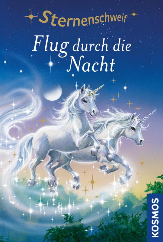 Cover-Bild Sternenschweif, 9, Flug durch die Nacht