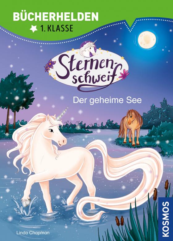 Cover-Bild Sternenschweif, Bücherhelden 1. Klasse, Der geheime See