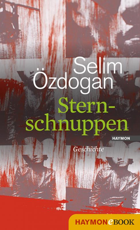 Cover-Bild Sternschnuppen