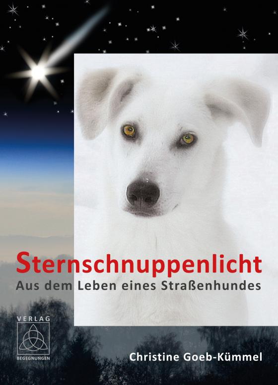 Cover-Bild Sternschnuppenlicht