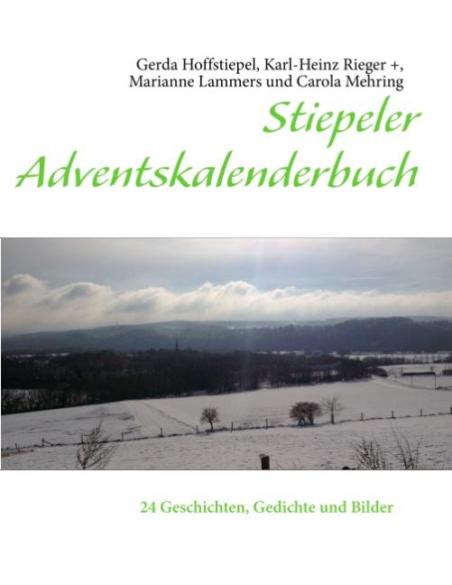 Cover-Bild Stiepeler Adventskalenderbuch