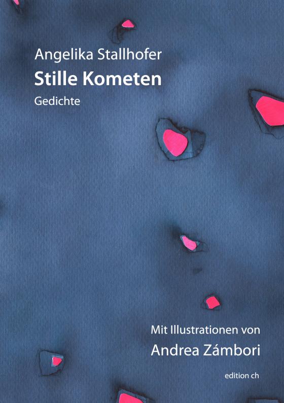 Cover-Bild Stille Kometen