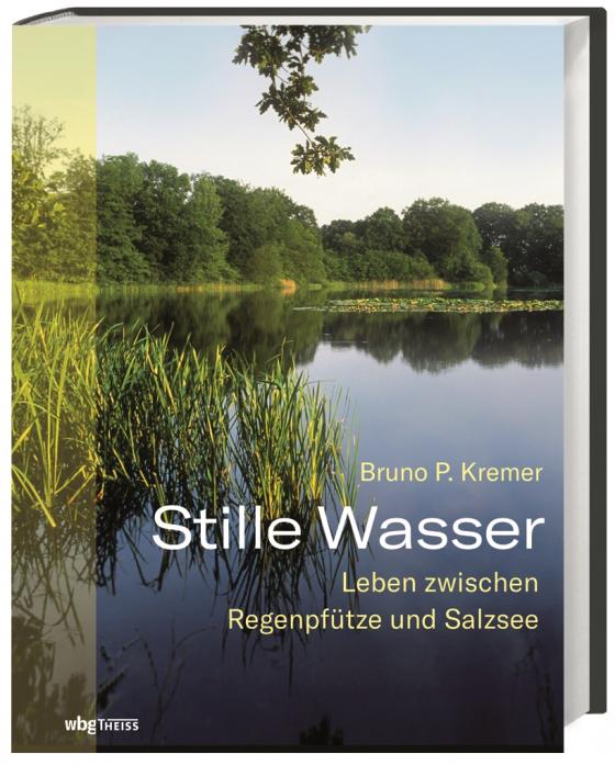 Cover-Bild Stille Wasser