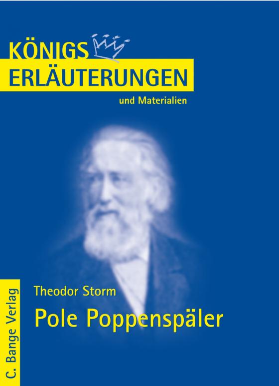 Cover-Bild Storm. Pole Poppenspäler