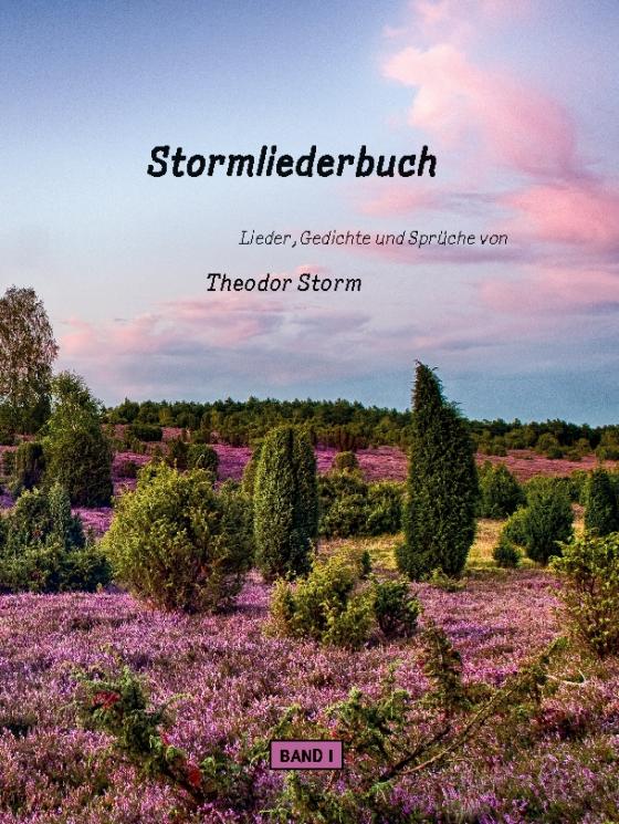 Cover-Bild Stormliederbuch