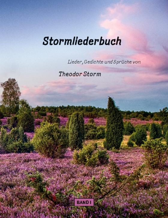 Cover-Bild Stormliederbuch