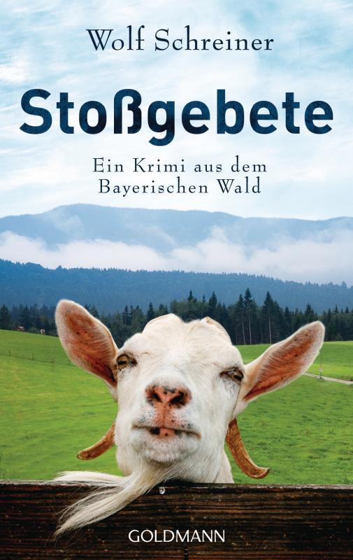 Cover-Bild Stoßgebete