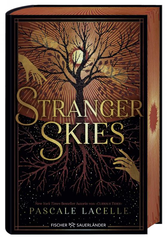 Cover-Bild Stranger Skies