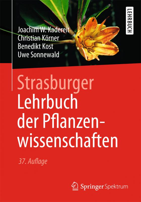 Cover-Bild Strasburger − Lehrbuch der Pflanzenwissenschaften