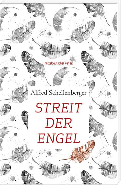 Cover-Bild Streit der Engel