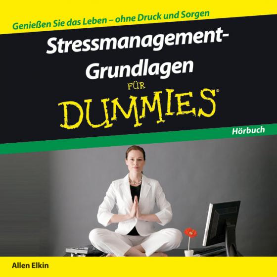 Cover-Bild Stressmanagement-Grundlagen für Dummies Hörbuch