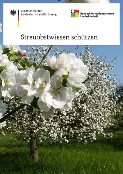 Cover-Bild Streuobstwiesen schützen