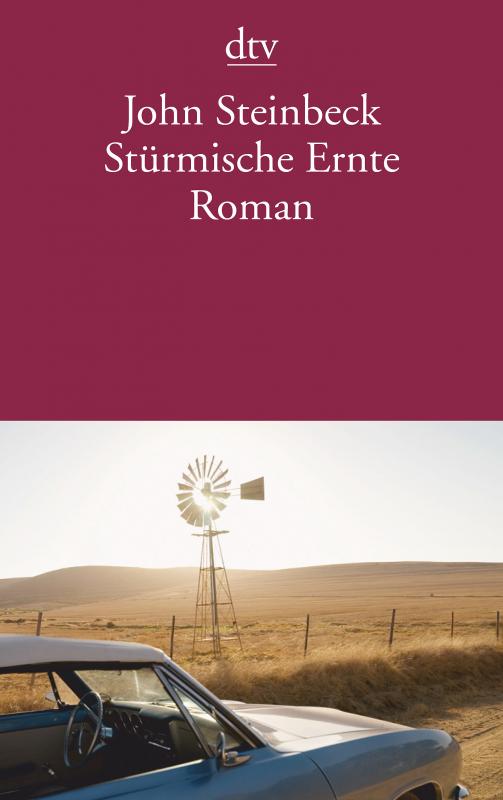 Cover-Bild Stürmische Ernte