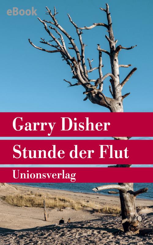 Cover-Bild Stunde der Flut