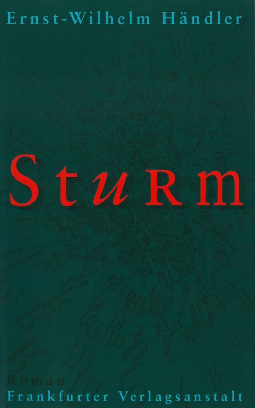 Cover-Bild Sturm