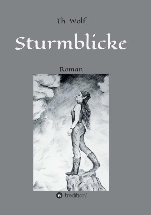 Cover-Bild Sturmblicke