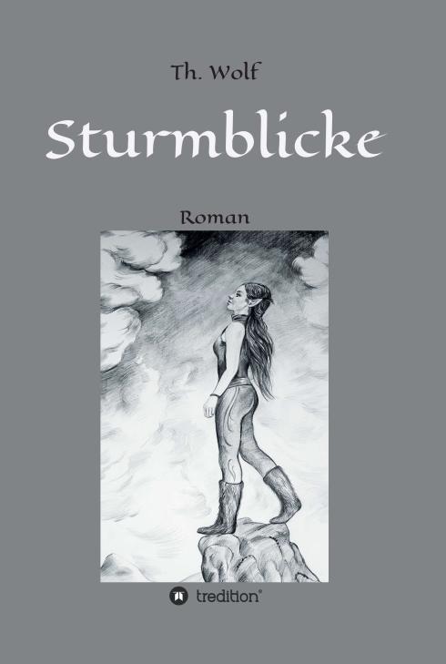 Cover-Bild Sturmblicke