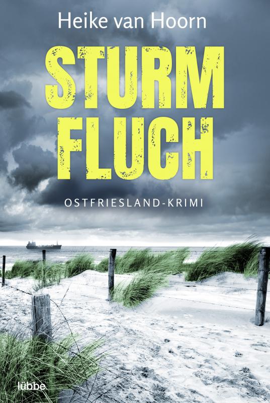 Cover-Bild Sturmfluch