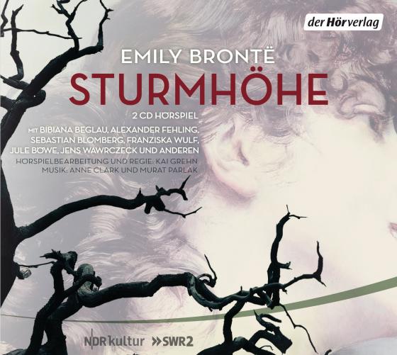 Cover-Bild Sturmhöhe