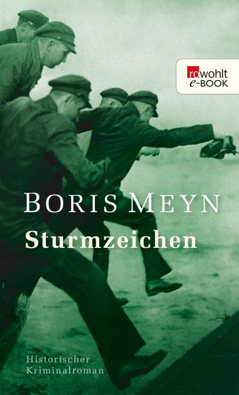Cover-Bild Sturmzeichen