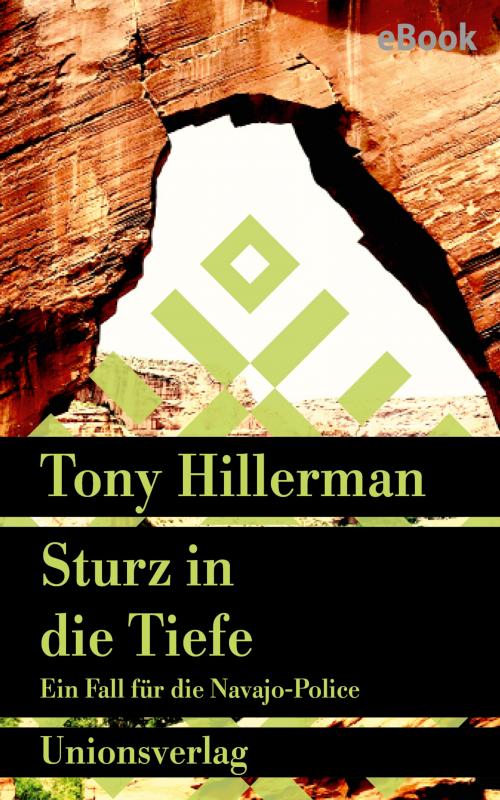 Cover-Bild Sturz in die Tiefe