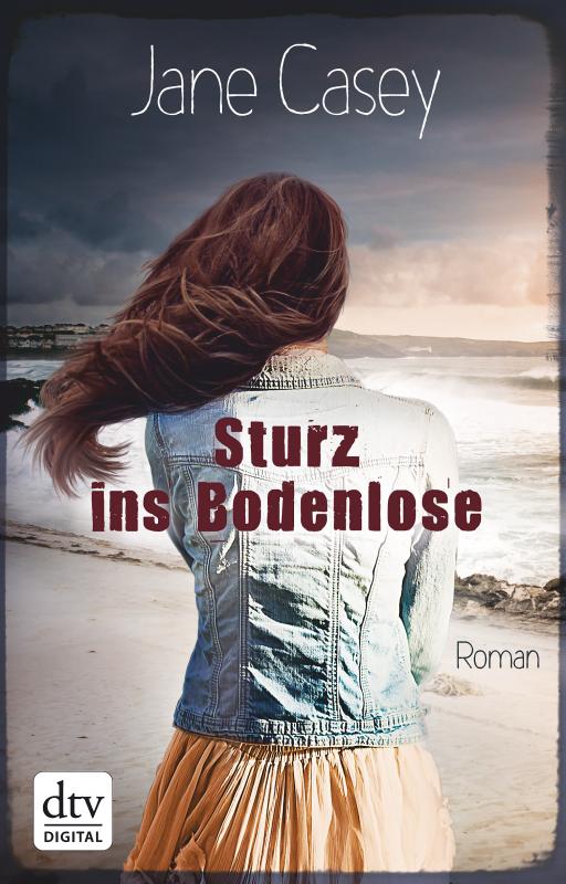 Cover-Bild Sturz ins Bodenlose