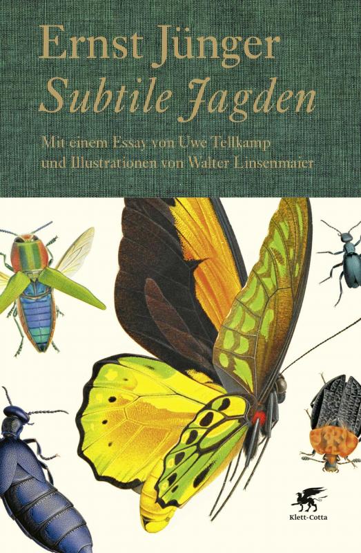 Cover-Bild Subtile Jagden