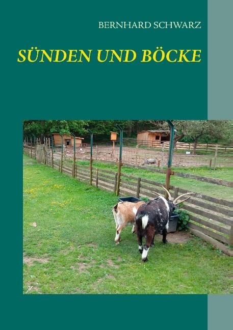 Cover-Bild Sünden und Böcke