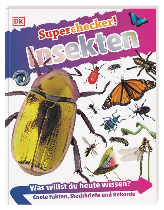 Cover-Bild Superchecker! Insekten