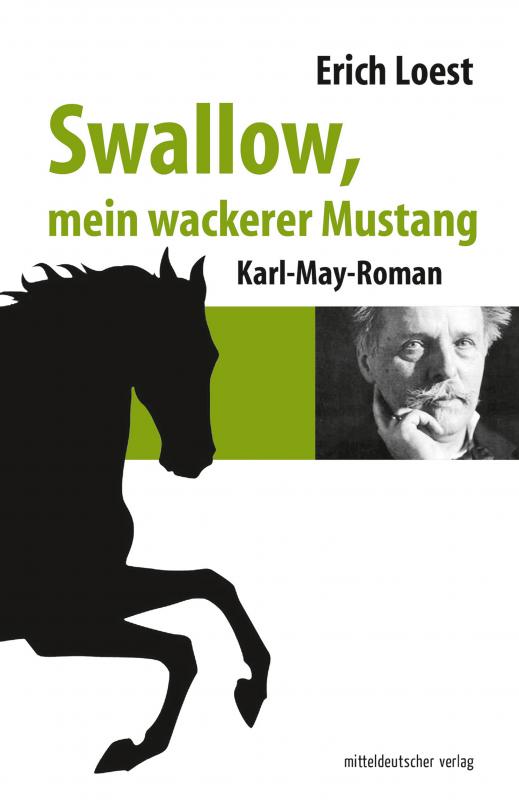 Cover-Bild Swallow, mein wackerer Mustang