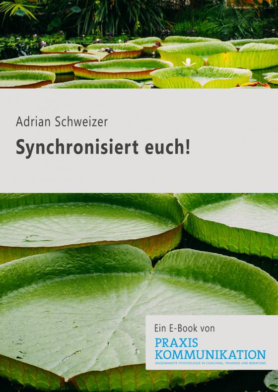 Cover-Bild "Synchronisiert euch!"