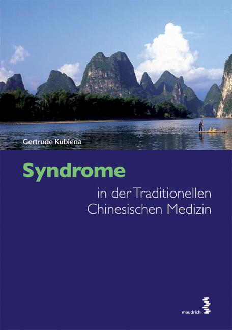 Cover-Bild Syndrome in der Traditionellen Chinesischen Medizin