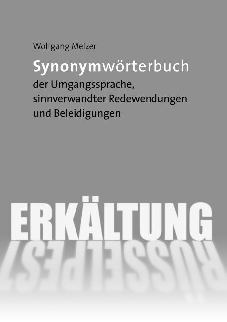 Cover-Bild Synonymwörterbuch der Umgangssprache, sinnverwandter Redewendungen und Beleidigungen