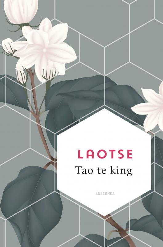 Cover-Bild Tao te king