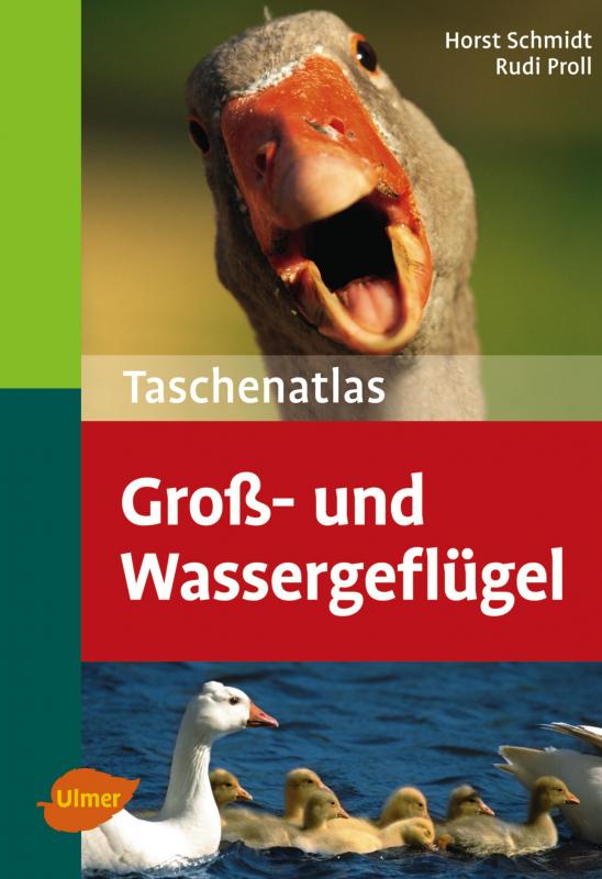 Cover-Bild Taschenatlas Groß- und Wassergeflügel