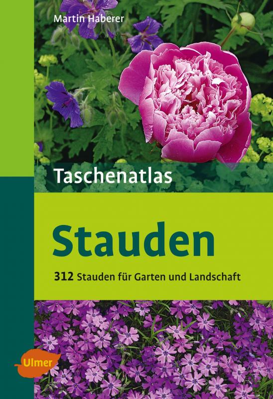 Cover-Bild Taschenatlas Stauden