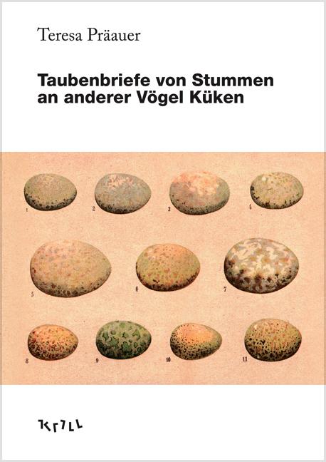 Cover-Bild Taubenbriefe von Stummen an anderer Vögel Küken