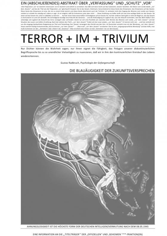 Cover-Bild TERROR + VIER + ABHANDLUNGEN / EIN (ABSCHLIEßENDES) ABSTRAKT ÜBER „VERFASSUNG“ UND „SCHUTZ“ ‚VOR‘ TERROR + IM + TRIVIUM (IV v IV)