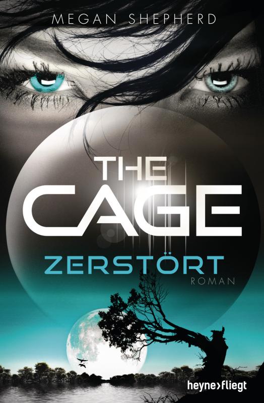 Cover-Bild The Cage - Zerstört