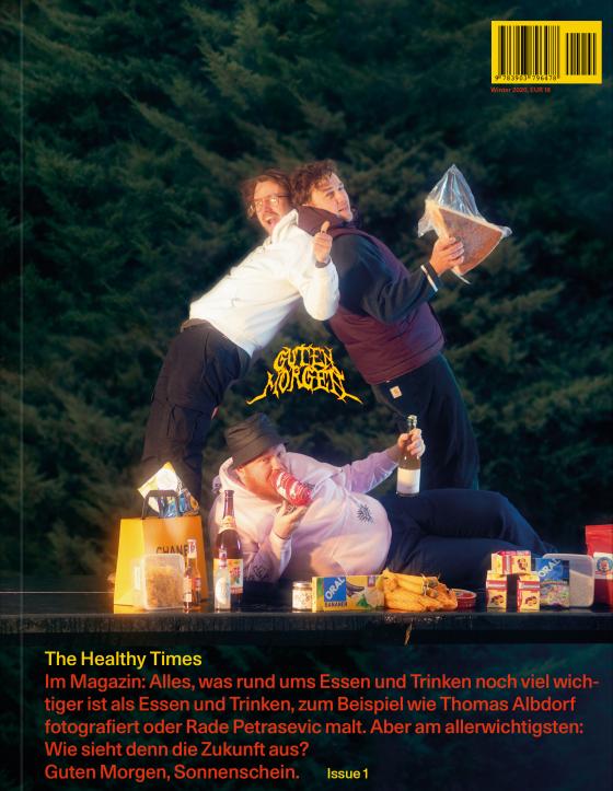 Cover-Bild The Healthy Times
