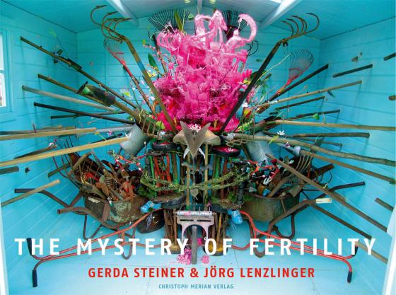 Cover-Bild The Mystery of Fertility