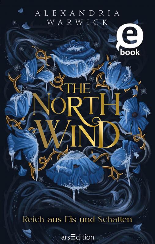 Cover-Bild The North Wind – Reich aus Eis und Schatten (The Four Winds 1)