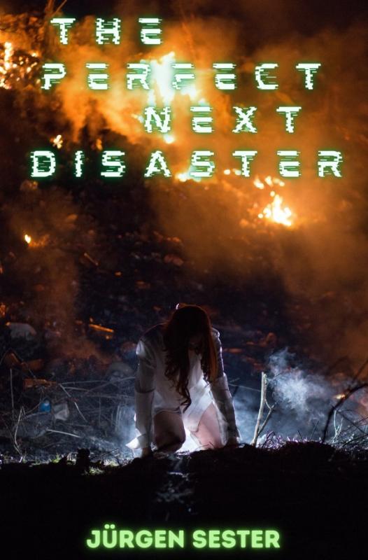 Cover-Bild The perfect next Disaster