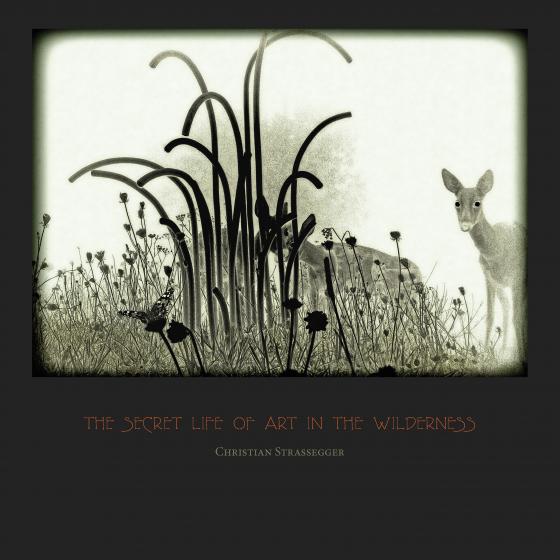 Cover-Bild The Secret Life Of Art In The Wilderness