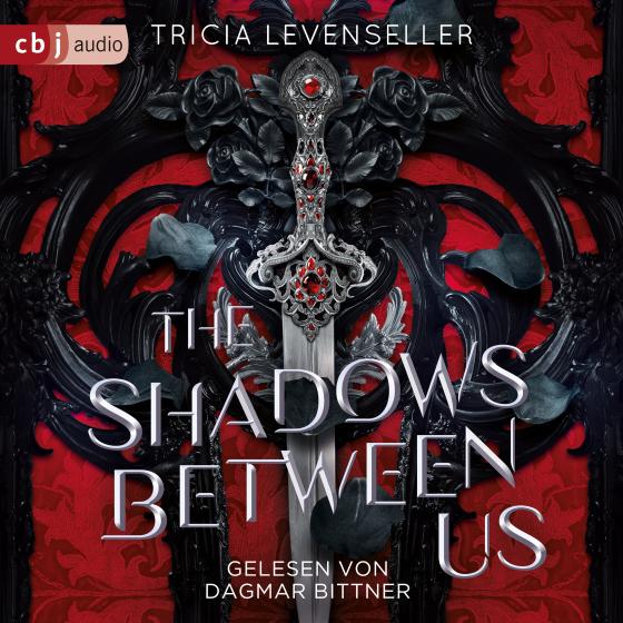 Cover-Bild The Shadows Between Us