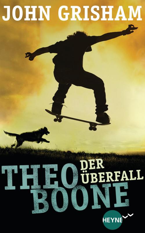 Cover-Bild Theo Boone - Der Überfall