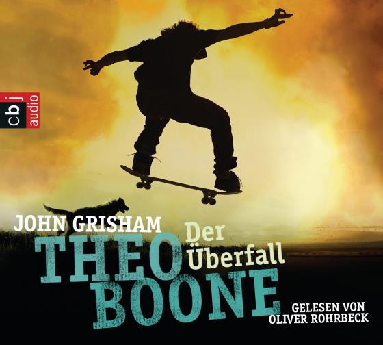 Cover-Bild Theo Boone: Der Überfall