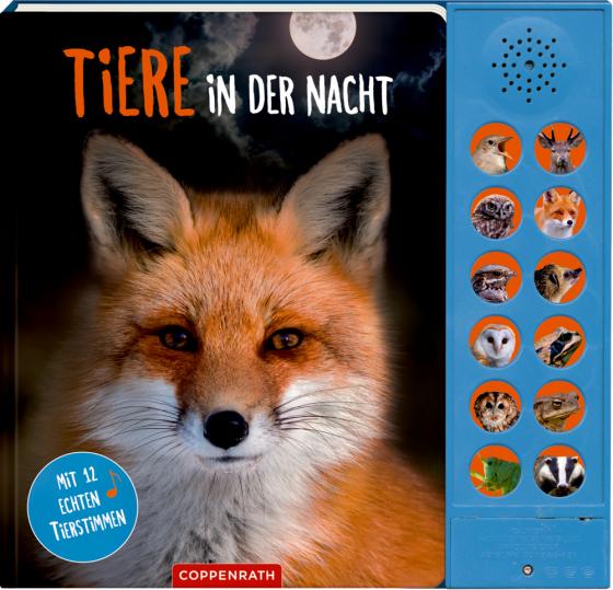 Cover-Bild Tiere in der Nacht